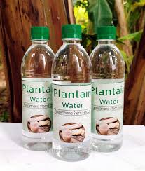 Plantain Stem Juice